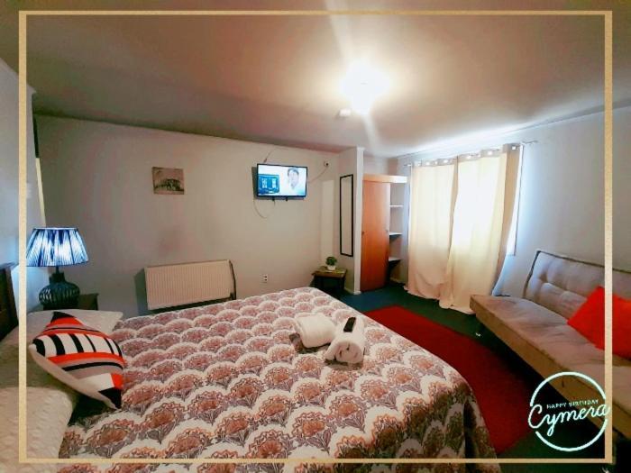 Appartement Patagonia Magica à Punta Arenas Extérieur photo