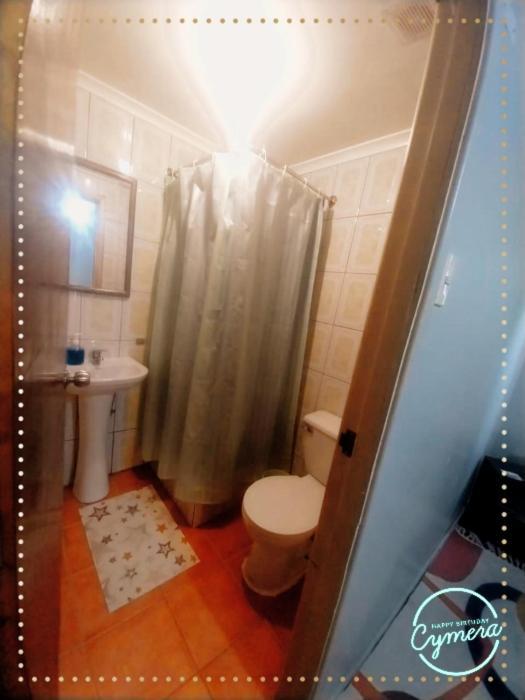 Appartement Patagonia Magica à Punta Arenas Extérieur photo