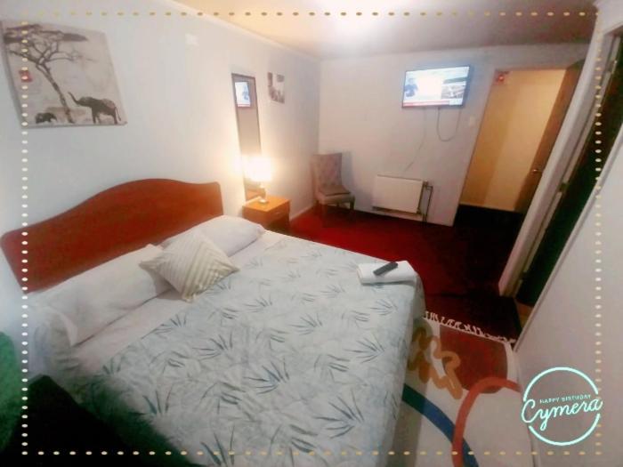 Appartement Patagonia Magica à Punta Arenas Extérieur photo